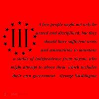 Patriot George Washington American Flag Quote Santa Hat thumb 1