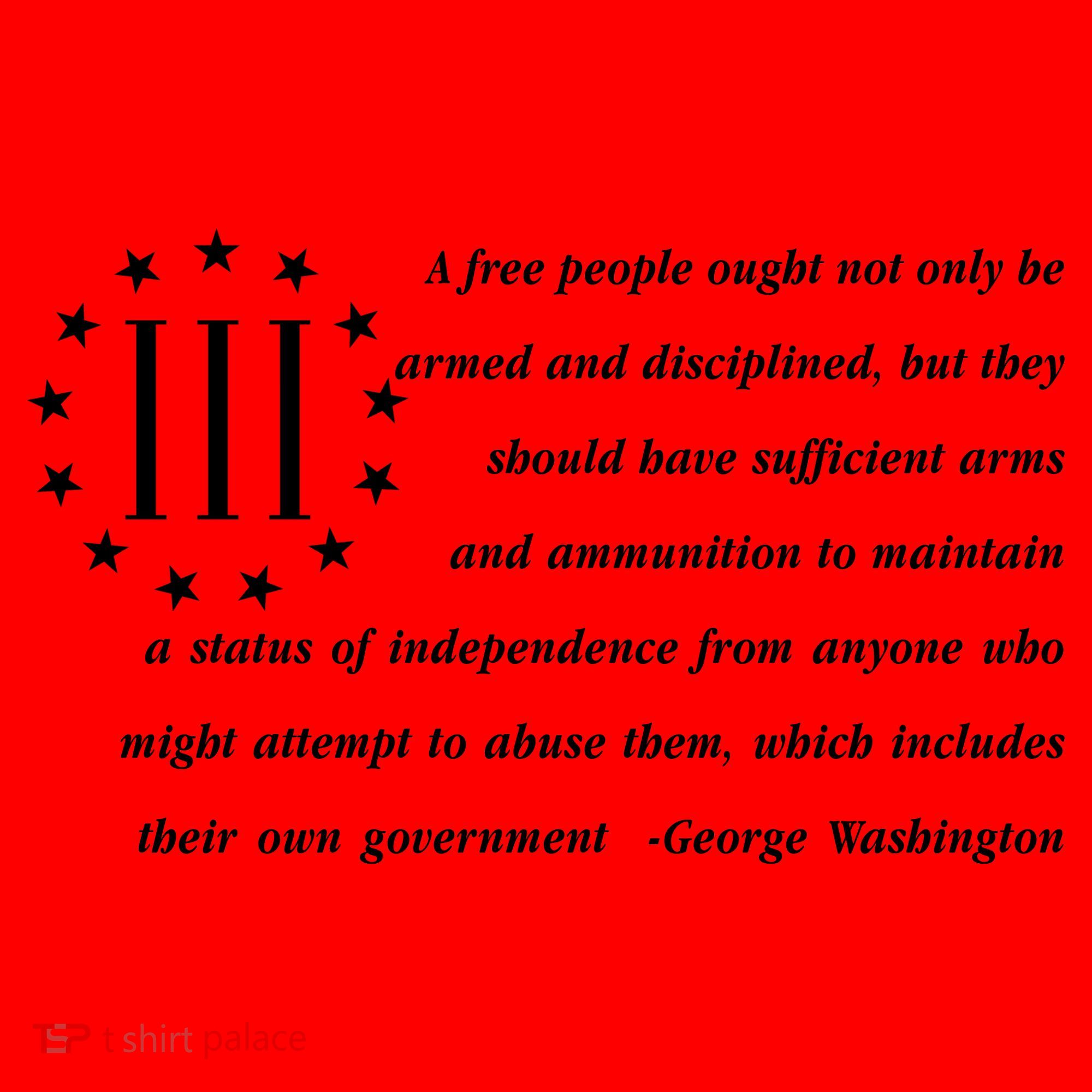 Patriot George Washington American Flag Quote Santa Hat