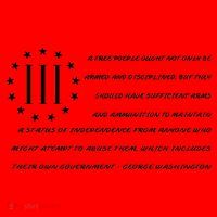 Patriot George Washington Flag Quote Santa Hat thumb 1