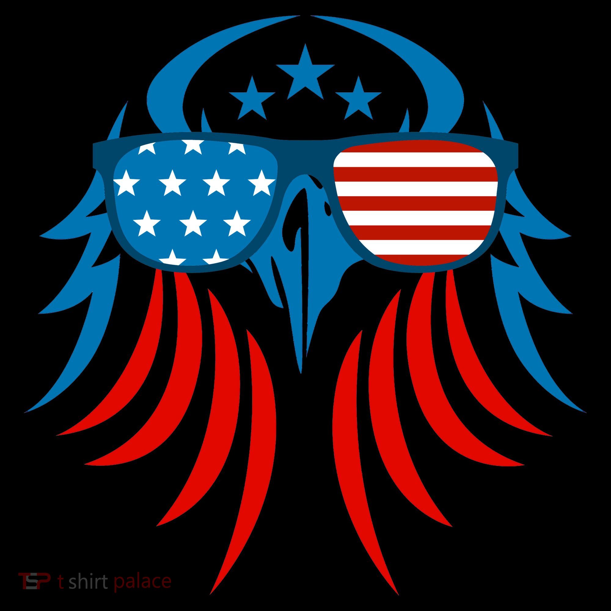 Patriotic American Bald Eagle Tote Bag