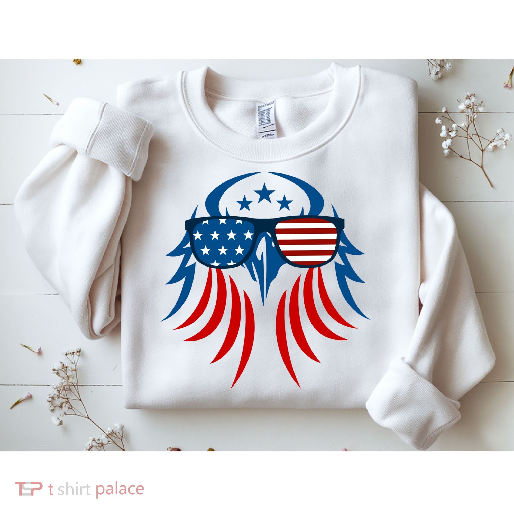 Patriotic American Bald Eagle Sweatshirt