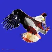 Patriotic American Bold Eagle Women's Tank Top thumb 5