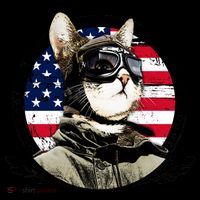Patriotic American Cat Pilot Coffee Mug thumb 5