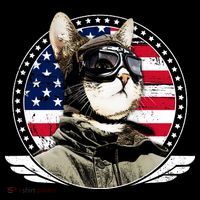 Patriotic American Cat Pilot Women's Hoodie thumb 2