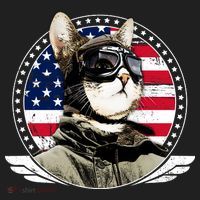 Patriotic American Cat Pilot Hat thumb 2