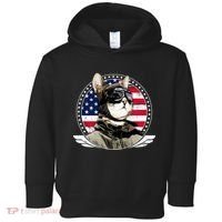 Patriotic American Cat Pilot Toddler Hoodie thumb 0