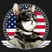 Patriotic American Cat Pilot Toddler T-Shirt thumb 4