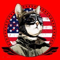 Patriotic American Cat Pilot Santa Hat thumb 1
