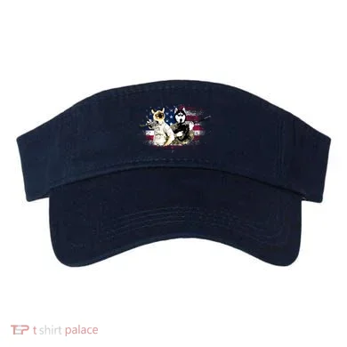 Visor