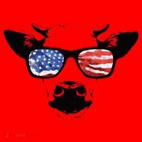 Patriotic Cow USA Flag Sunglasses Santa Hat thumb 1