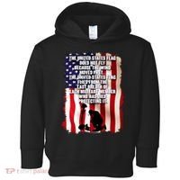 Patriotic Memorial Day United States Flag Toddler Hoodie thumb 0