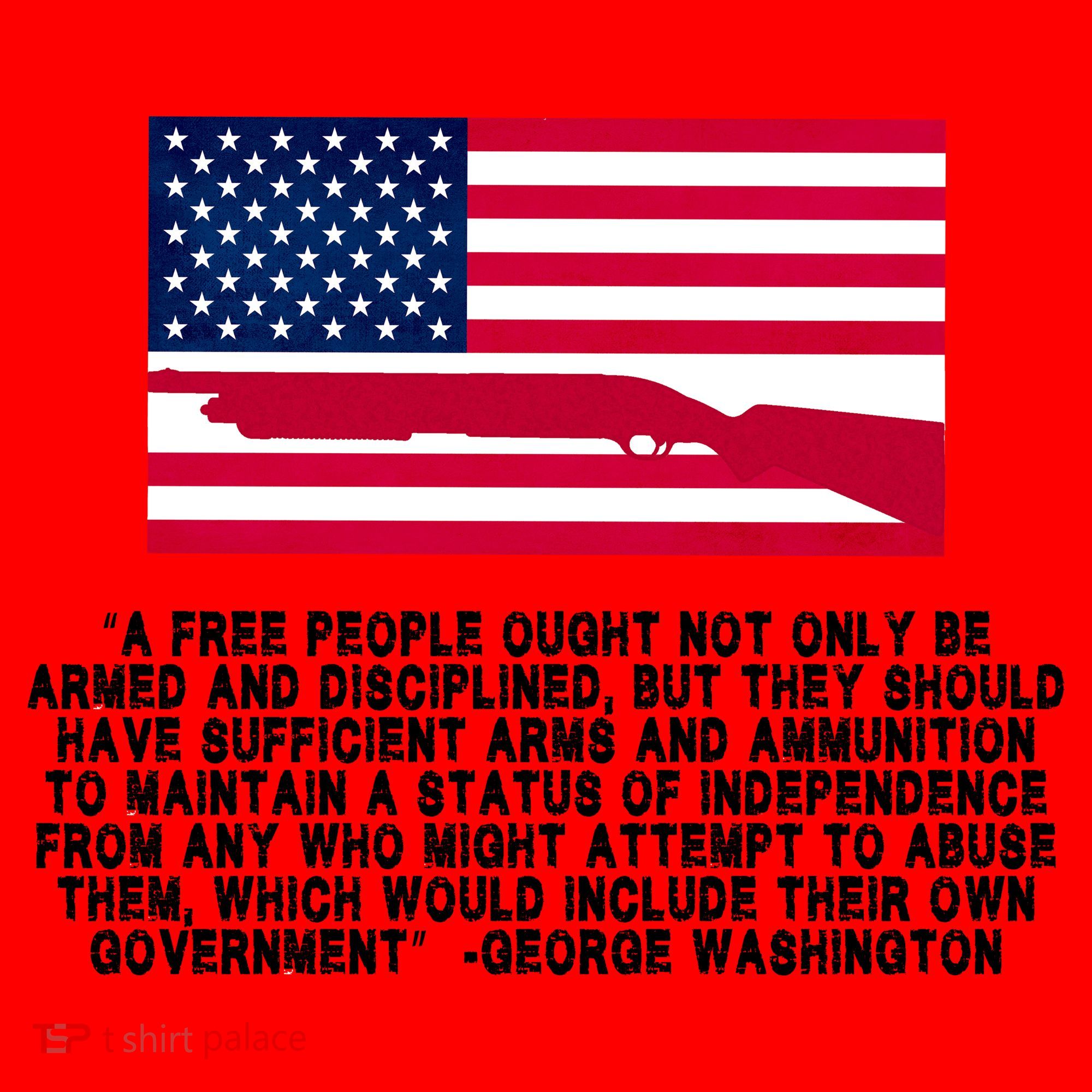Patriotic Quote George Washington Santa Hat