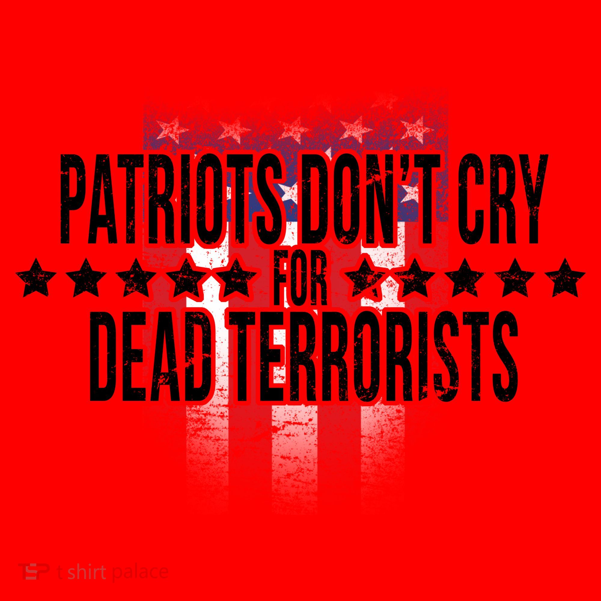 Patriots Don't Cry For Dead Terrorists Santa Hat