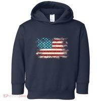 Patriotic American Usa Flag Toddler Hoodie thumb 0