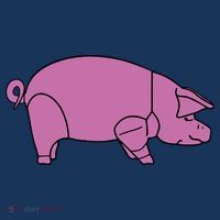 Pig As Worn Women's Tank Top thumb 5