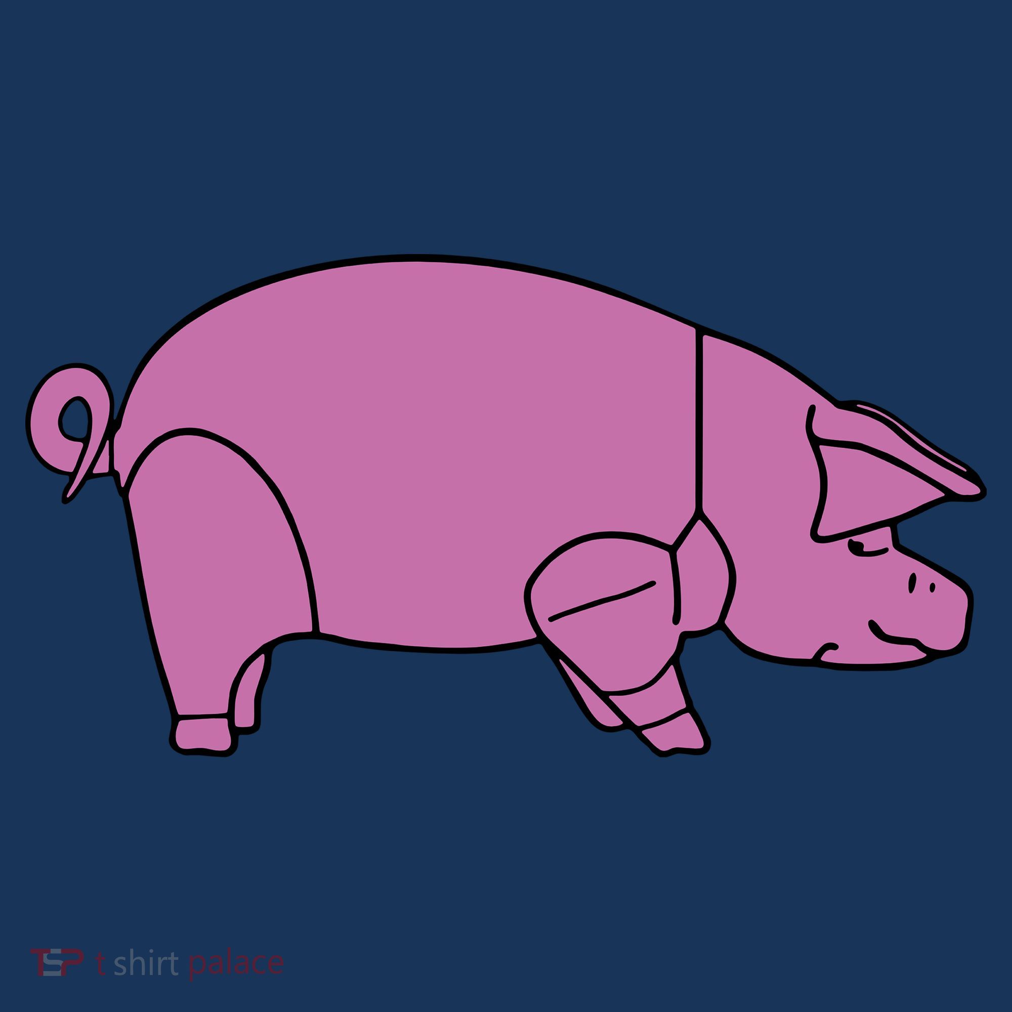 Pig As Worn Women's Tank Top