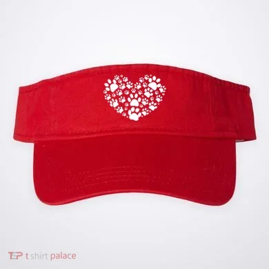 Visor