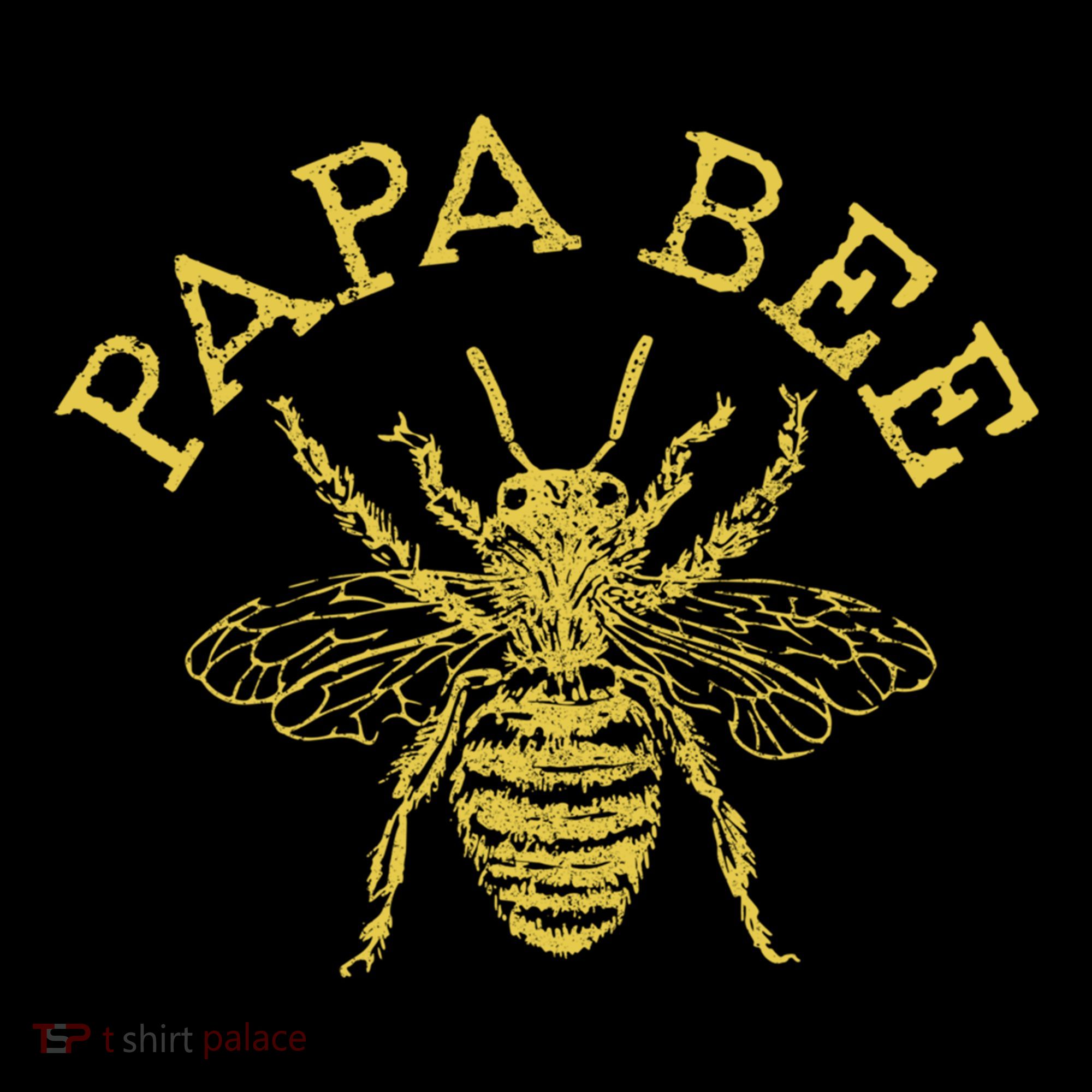 Papa Bee Beekeeper Funny FatherS Day Bee Lover Gift Women's Hoodie