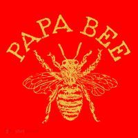 Papa Bee Beekeeper Funny FatherS Day Bee Lover Gift Santa Hat thumb 1