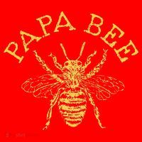 Papa Bee Beekeeper Funny Fathers Day Bee Lover Gift Santa Hat thumb 1