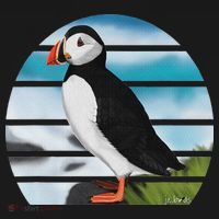 Puffin Bird Birder Ornithologist Biologist Birdwatcher Coaster thumb 2