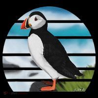 Puffin Bird Birder Ornithologist Biologist Birdwatcher Women's Hoodie thumb 2