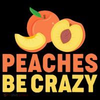 Peaches Be Crazy Funny Peach Pun Fruit Georgia Iced Tea Women's Hoodie thumb 2