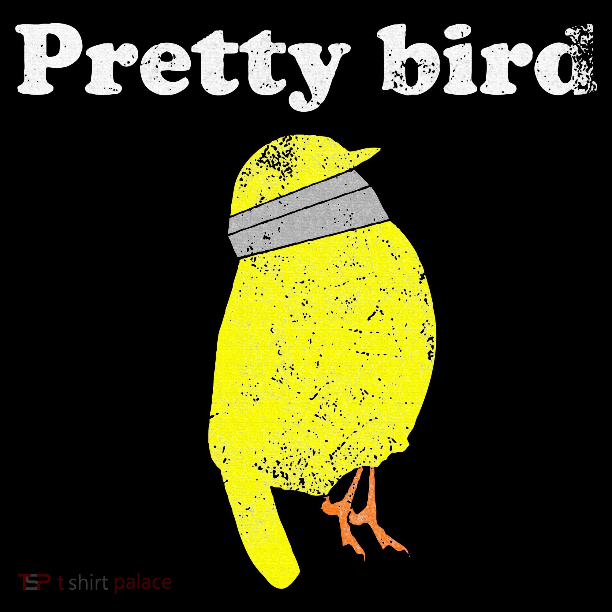 Pretty Bird Cute Dumb Funny Women's T-Shirt