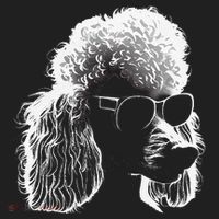 Poodle Best Dog Sunglasses Pet Lover Dog Beanie thumb 2