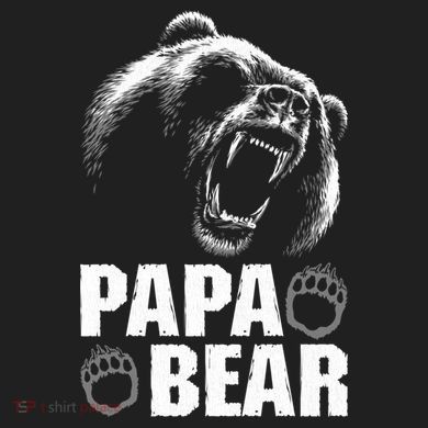 Papa Bear Dad Fathers Day Cool Gift Five-Panel Snapback Cap