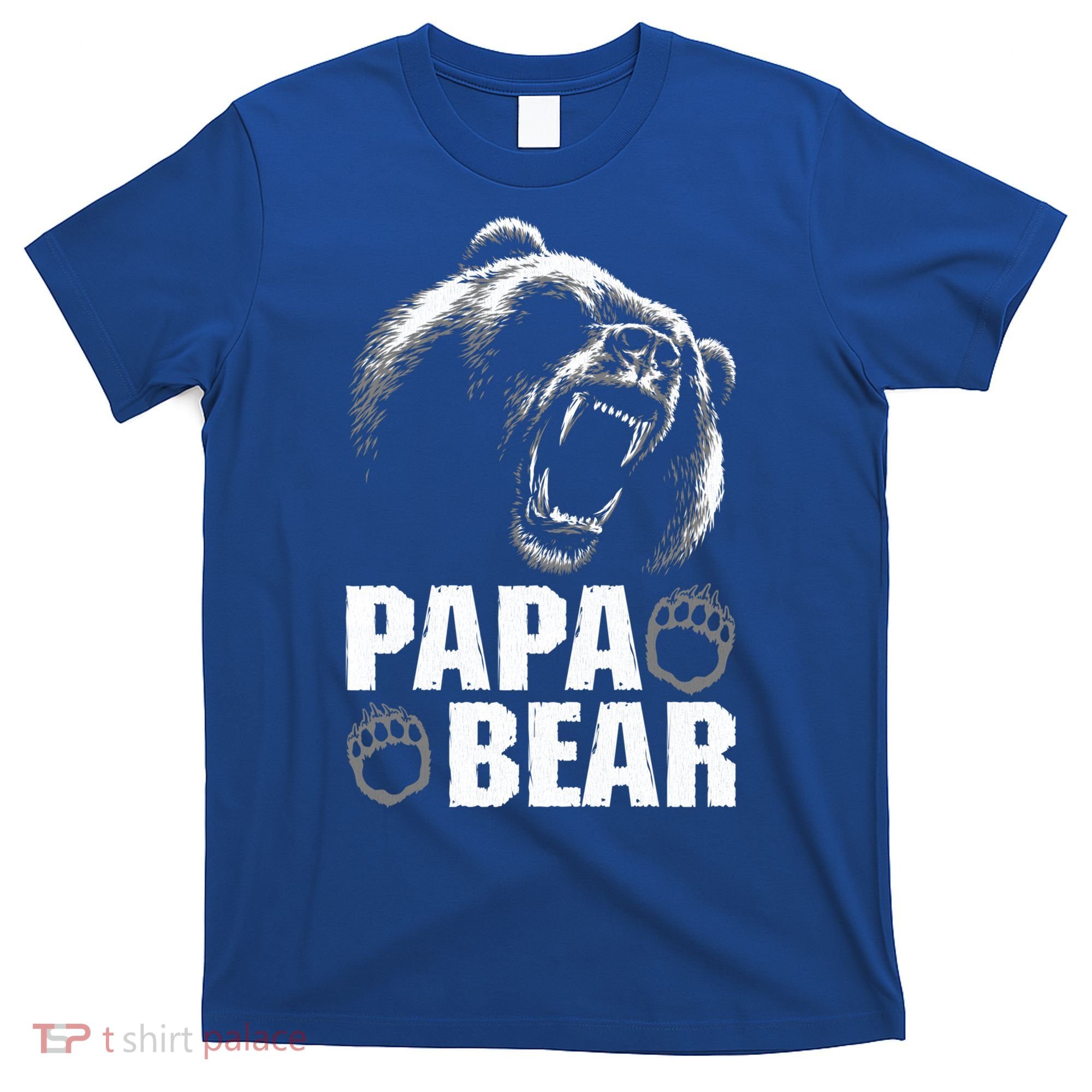 Papa Bear Dad Fathers Day Cool Gift T-Shirt