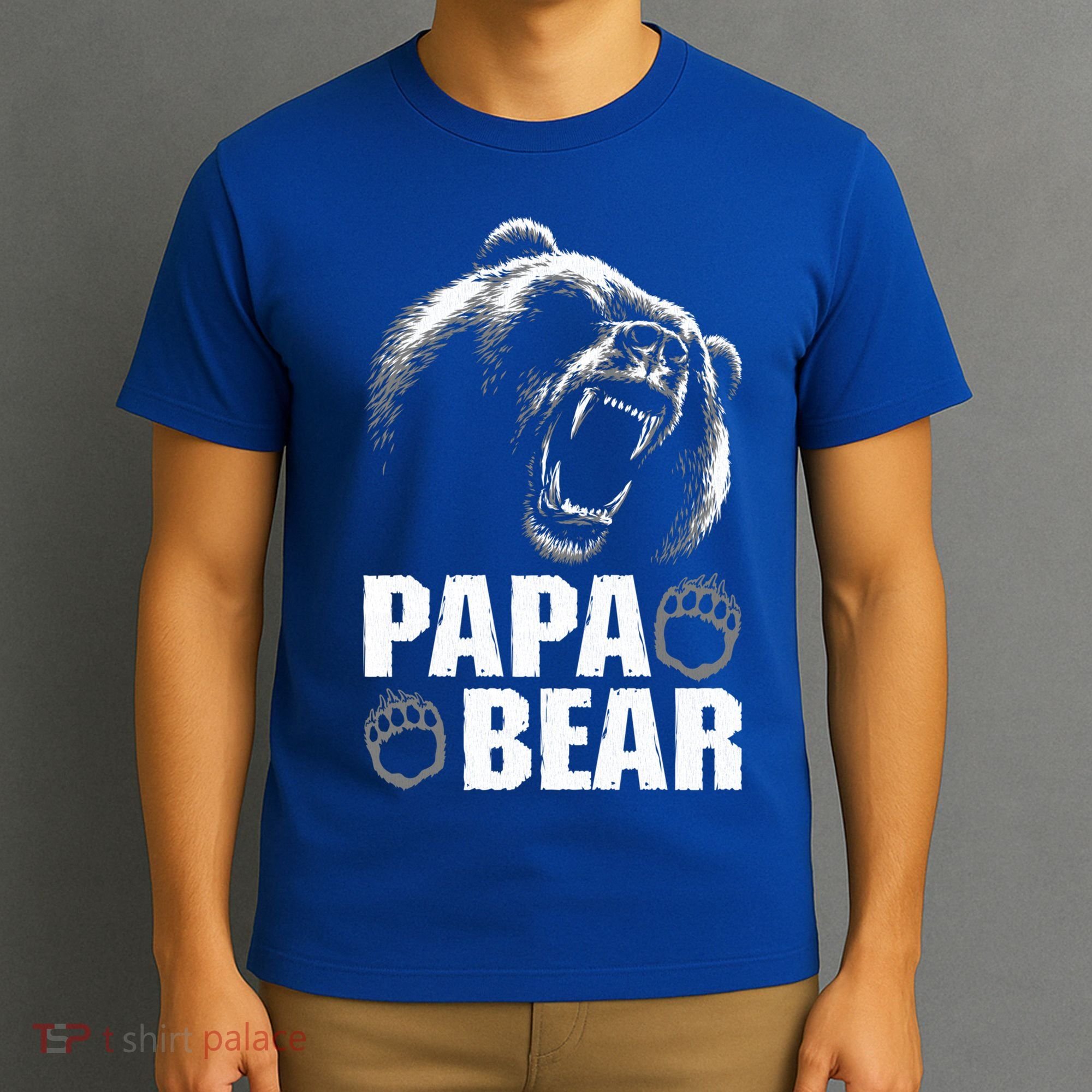 Papa Bear Dad Fathers Day Cool Gift T-Shirt