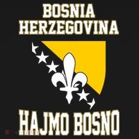 Proud Bosnia Dragon HAJMO BOSNO Country Favorite Cheer Game Women's Hoodie thumb 2