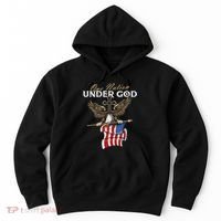 Patriotic Bald Eagle Usa American Flag Hoodie thumb 0