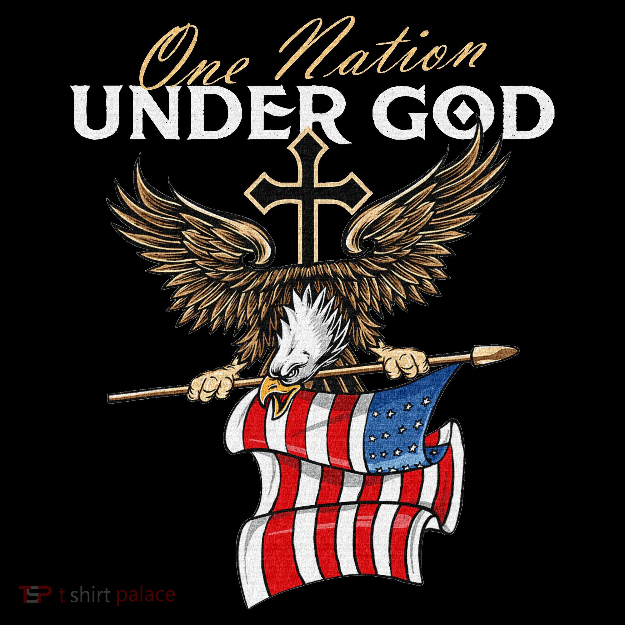 Patriotic Bald Eagle Usa American Flag Women's Hoodie
