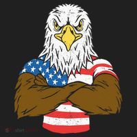 Patriotic Bald Eagle Usa American Flag Women's Sweatshirt thumb 2