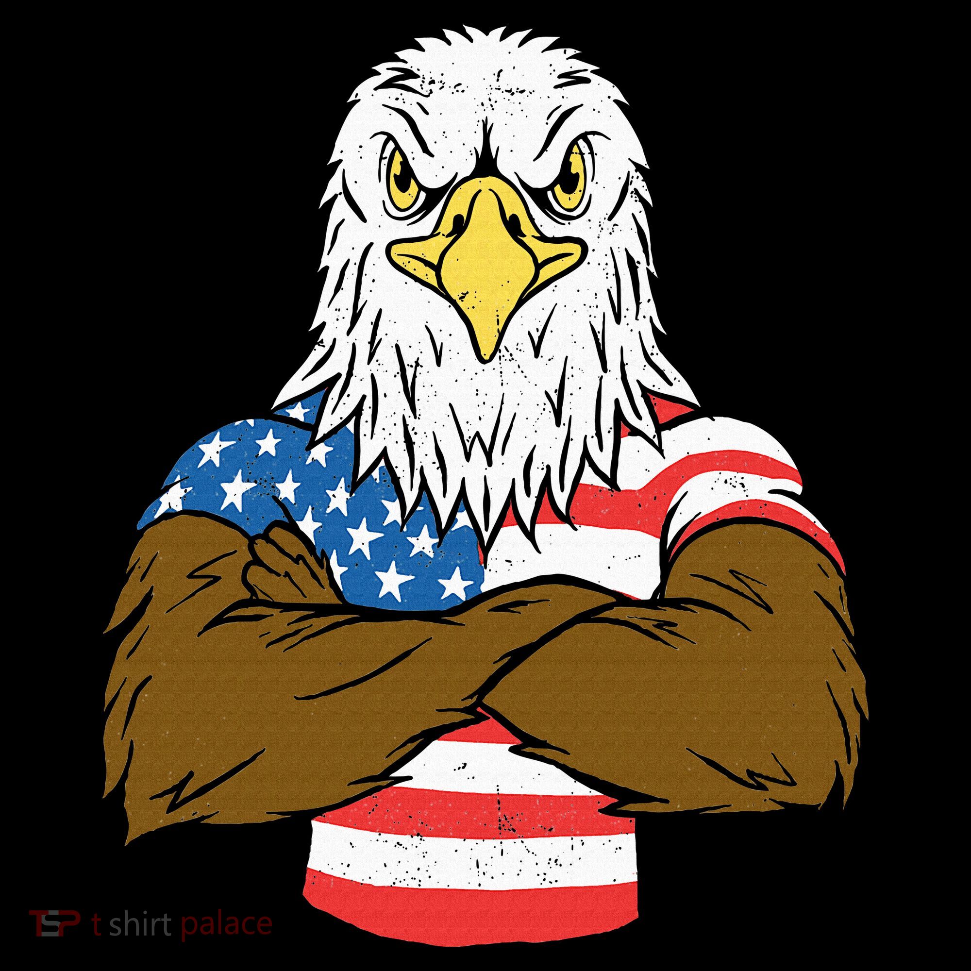 Patriotic Bald Eagle Usa American Flag Women's Hoodie