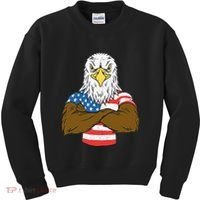 Patriotic Bald Eagle Usa American Flag Kids Sweatshirt thumb 0