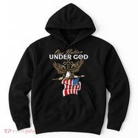 Patriotic Bald Eagle USA American Flag 4th of July Fourth Hoodie thumb 0