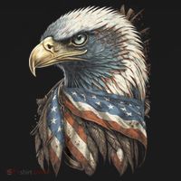 Patriotic Bald Eagle 4th Of July Usa American Flag Women's Hoodie thumb 2