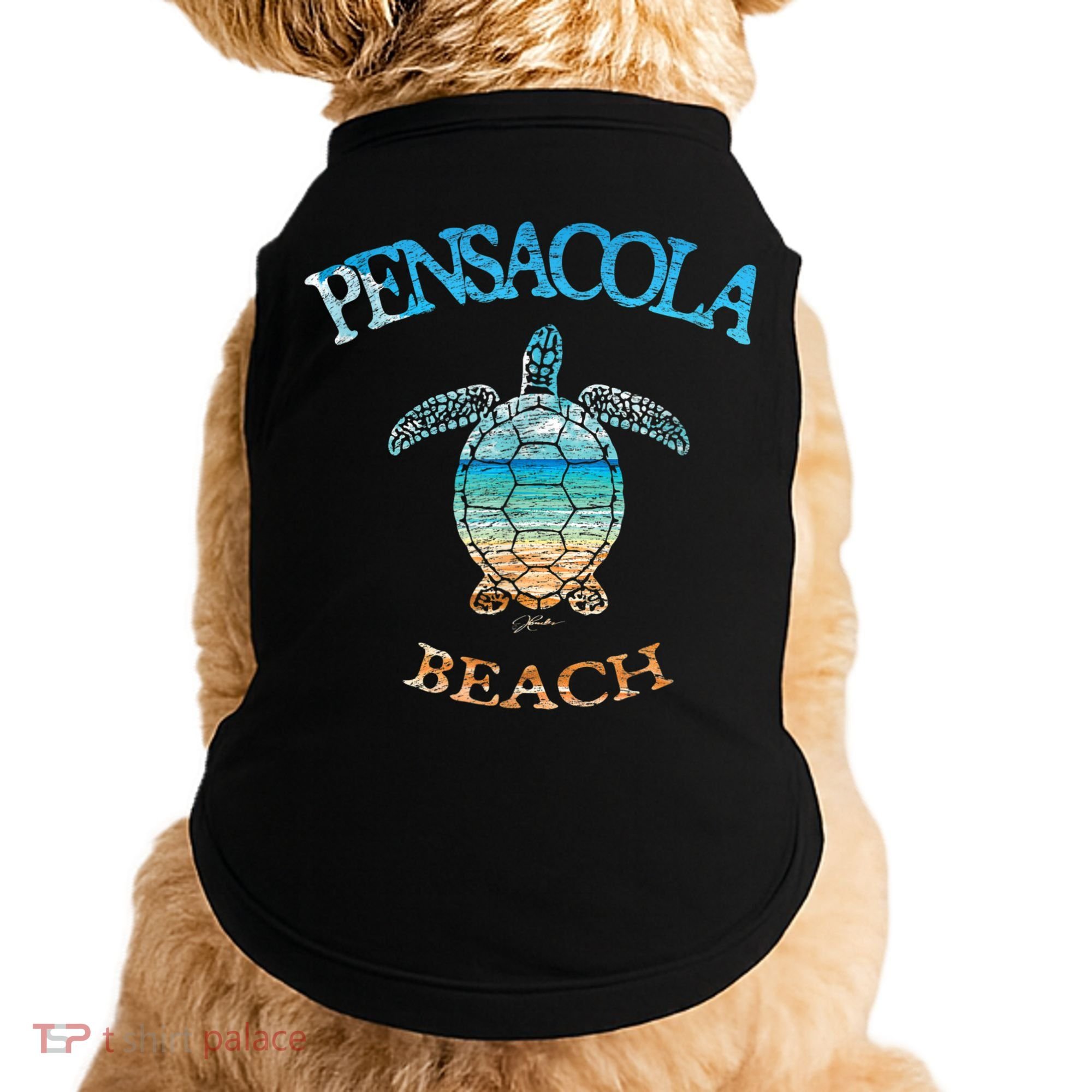 Pensacola Beach, FL, Sea Turtle Doggie Tank