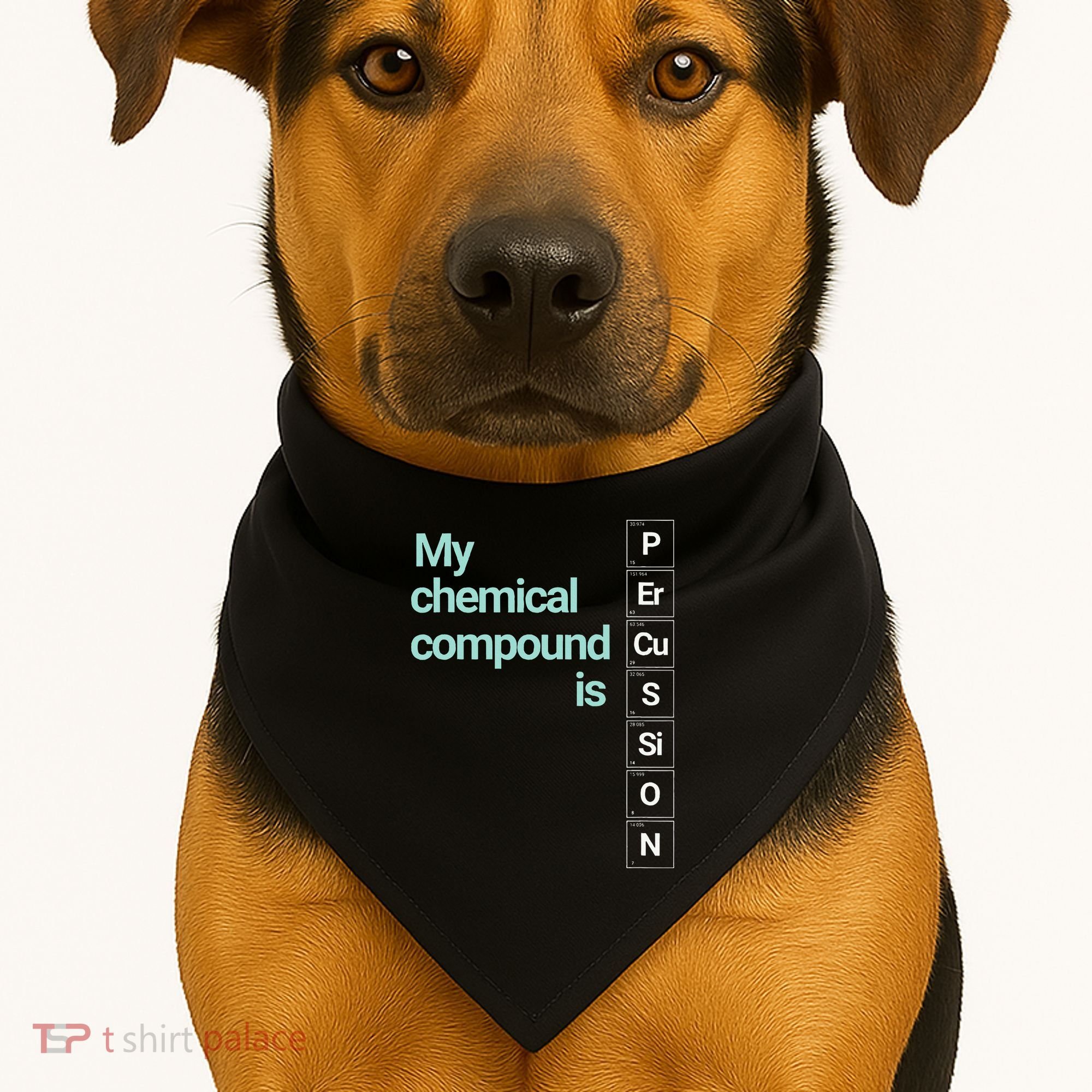 Percussion Band Geek My Chemical Compound USA-Made Doggie Bandana