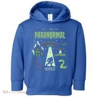 Paranormal Bigfoot Ghosts Aliens Sasquatch UFO Halloween Toddler Hoodie thumb 0