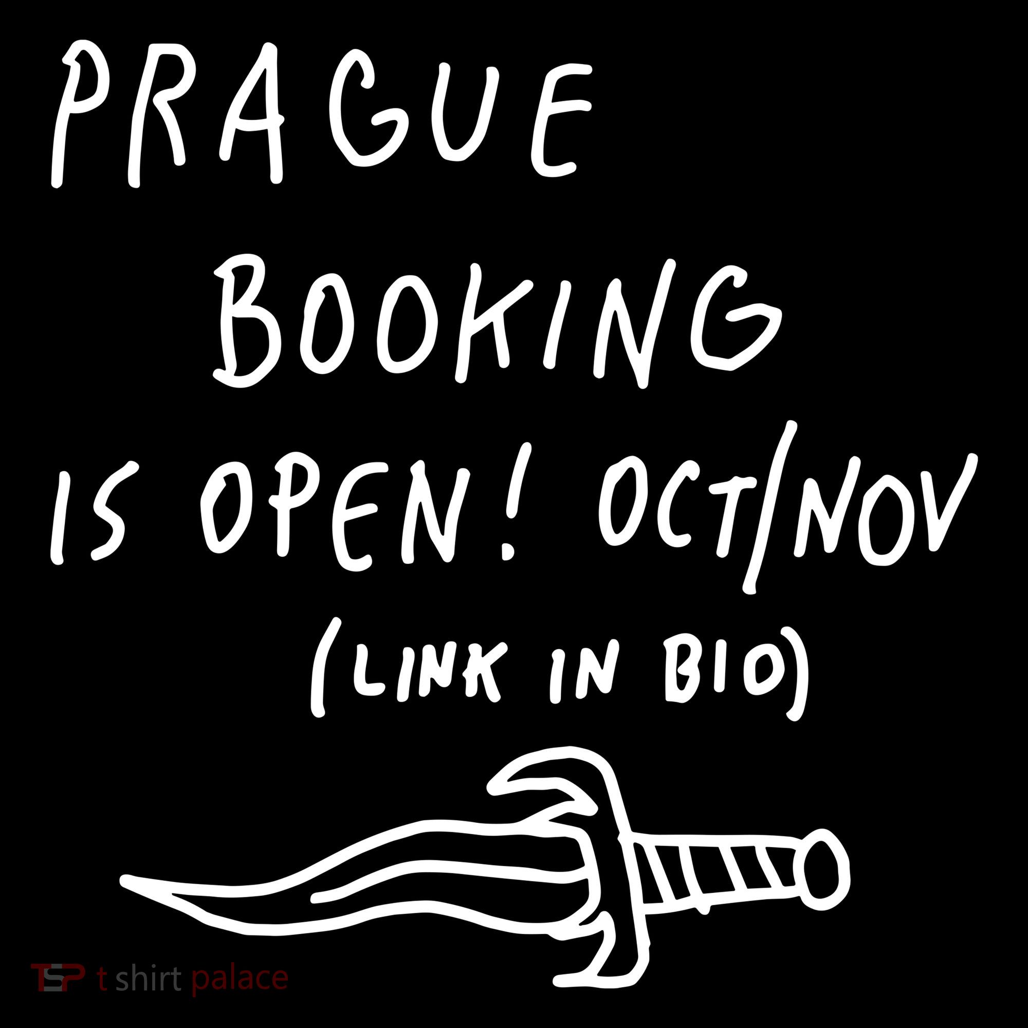 Prague Booking Is Open Oct Nov Link In Bio Toddler T-Shirt