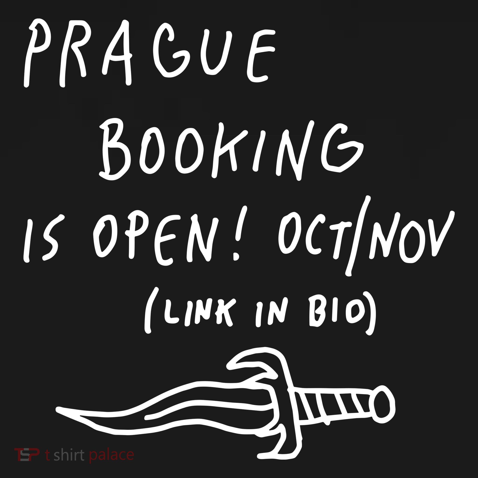Prague Booking Is Open Oct Nov Link In Bio Visor