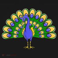 Peacock Bird Love Peacock Birds Peacock Lover Women's T-Shirt thumb 6