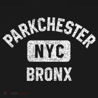 Parkchester Bronx Nyc Gym Style Distressed White Print Great Gift Women's Hoodie thumb 2