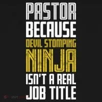 Pastor Devil Stomping Ninja IsnT A Real Job Title Toddler Hoodie thumb 2
