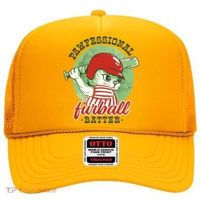 Professional Baseball Player Cat Cute Hat