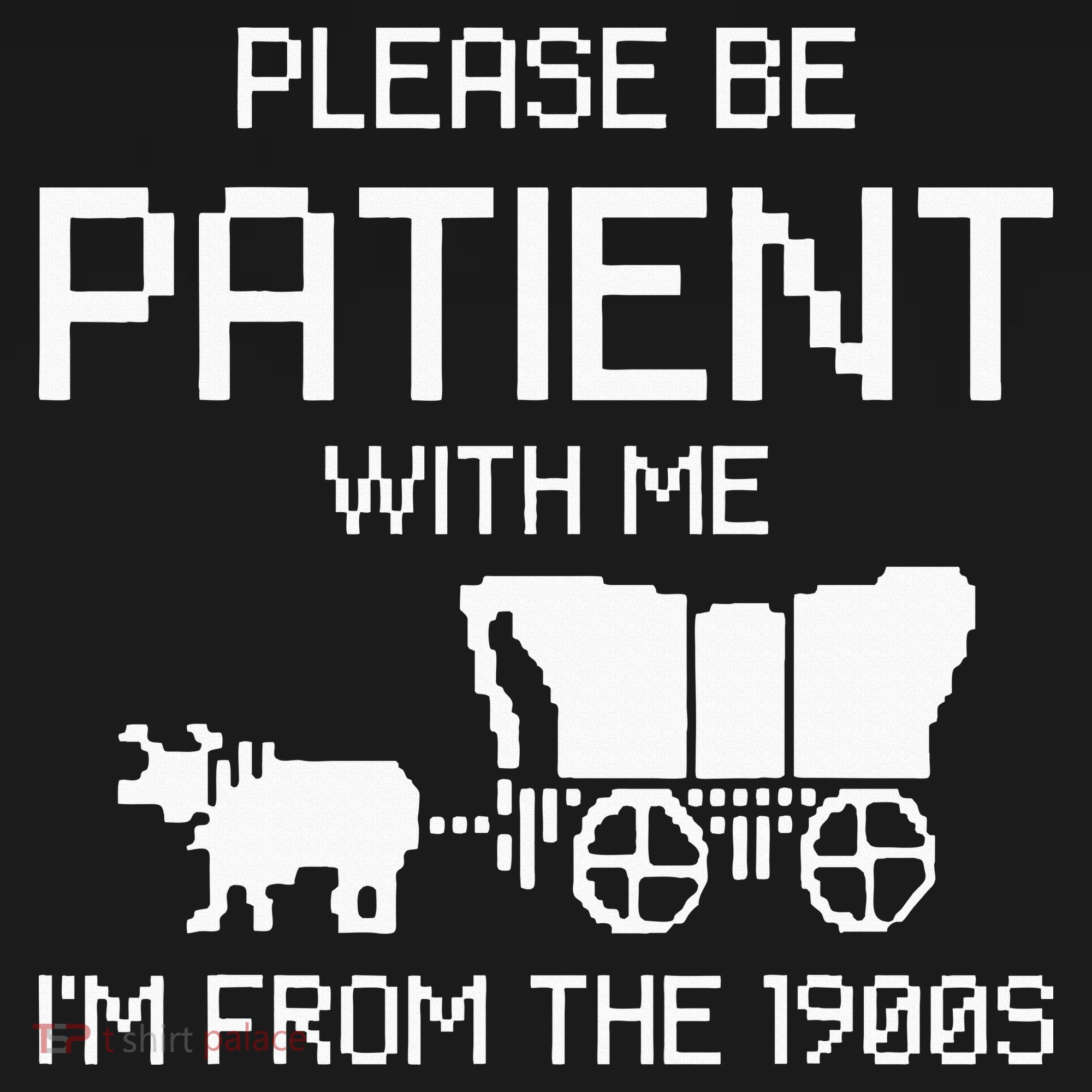Please Be Patient With Me IM From The 1900s Hoodie